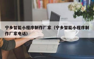 涉县宁乡智能小程序制作厂家（宁乡智能小程序制作厂家电话）
